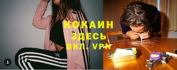 ПСИЛОЦИБИНОВЫЕ ГРИБЫ Верхний Тагил
